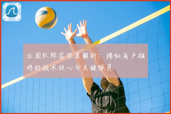 法国队阵容深度解析:揭秘高卢雄鸡的战术核心与关键球员